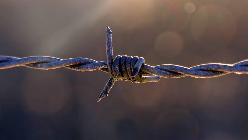 Why Dynamics 365 Portals Fall Short & How to Overcome Their Limits