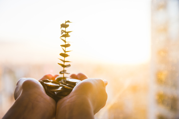 green-plant-growing-from-coins_23-2147931178