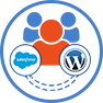 salesforce-wordpress-2