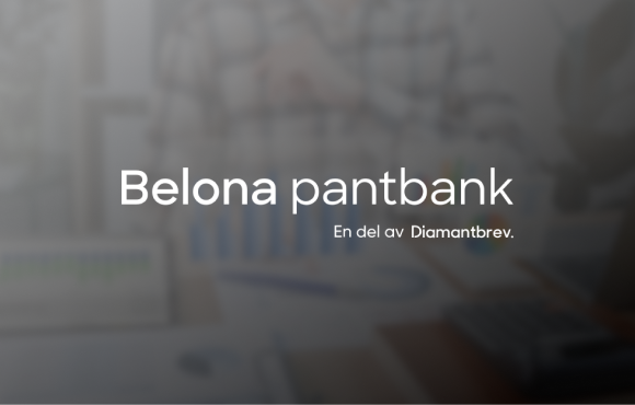 Belona Pantbank: Transforming Operations with a Custom Finance Portal