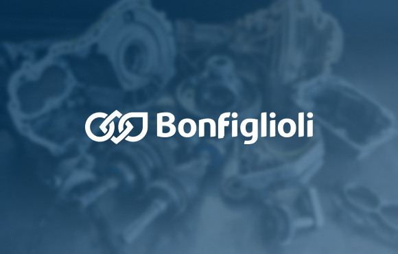 Enhance Machinery Services Management Using Salesforce WordPress Portal For Bongiflioli – Manufacturing Company.